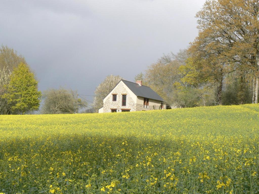 Chambres D'Hotes Du Vault PicotLa Chapelle-aux-Filzméens エクステリア 写真